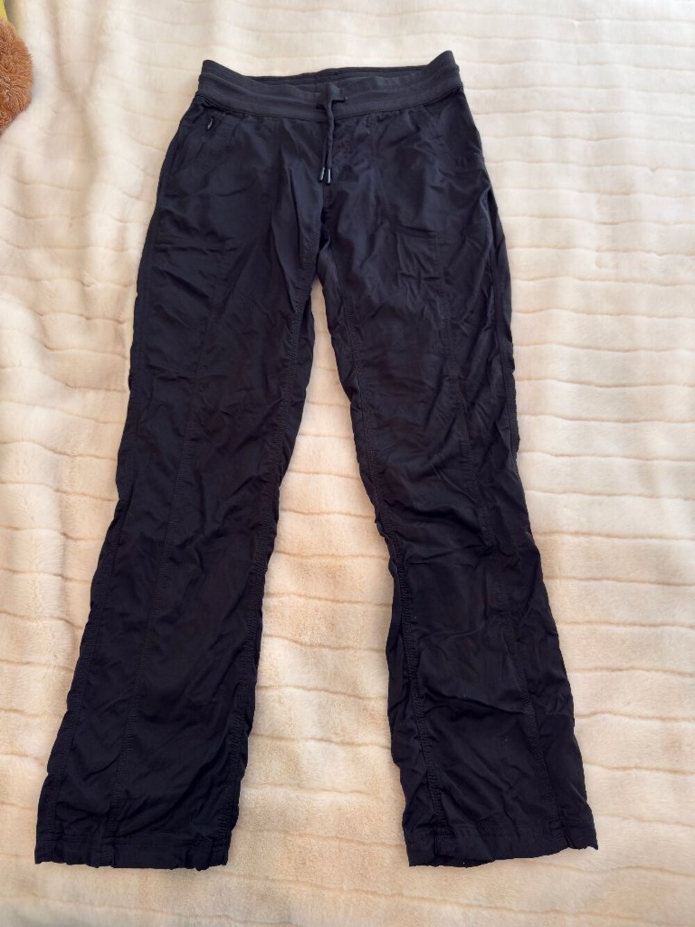 Northface Hiking Pants